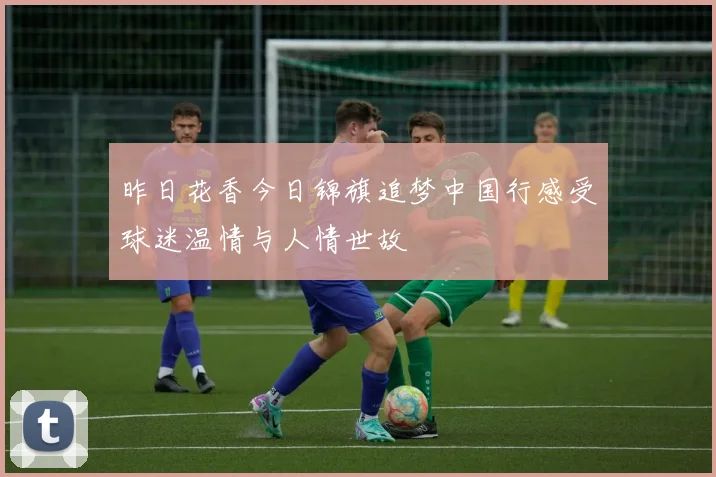 昨日花香今日锦旗追梦中国行感受球迷温情与人情世故